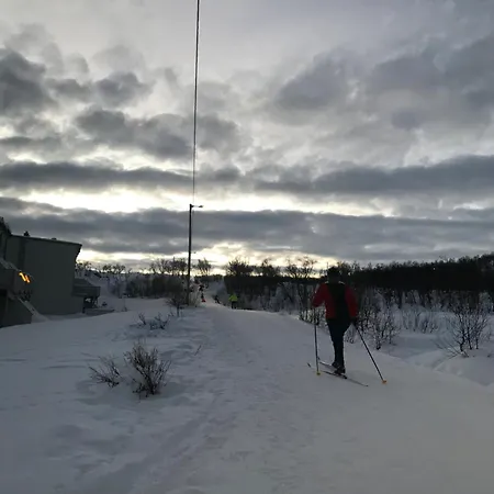 Aurora Borealis * Tromso