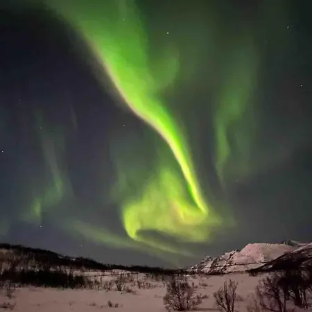 Aurora Borealis Leilighet Tromsø