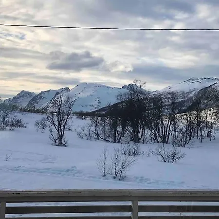 Aurora Borealis Leilighet