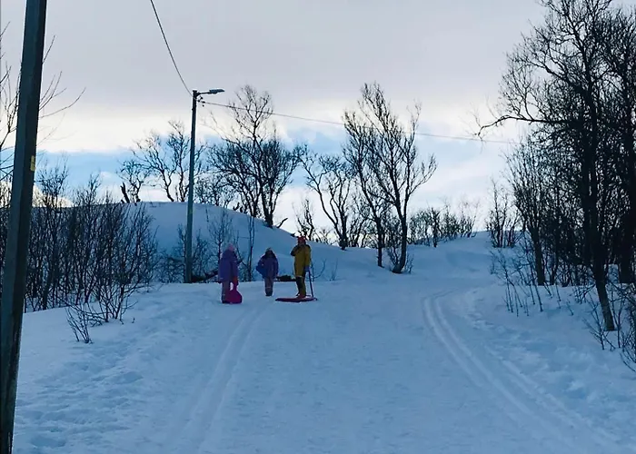 Appartement Aurora Borealis *