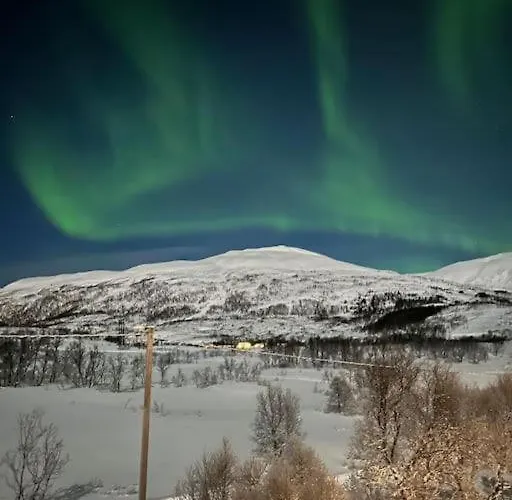 아파트 Aurora Borealis