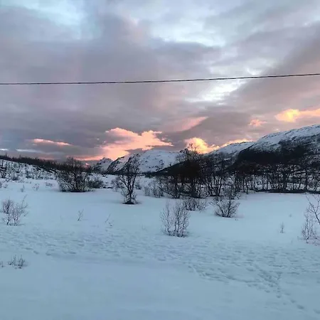 Lägenhet Aurora Borealis *